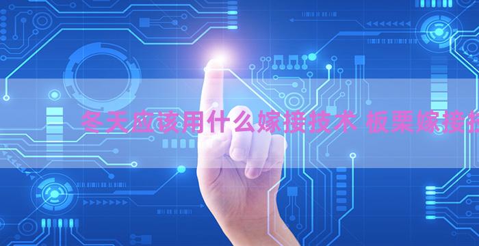 冬天应该用什么嫁接技术 板栗嫁接技术